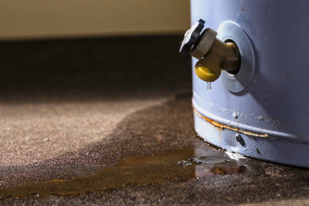 Best Flood damage cleanup  in Ninnekah, OK