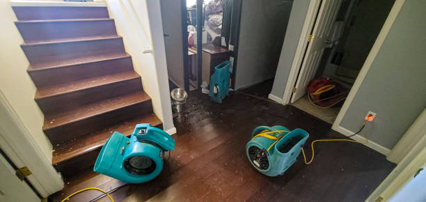 Best Local water damage restoration  in Ninnekah, OK