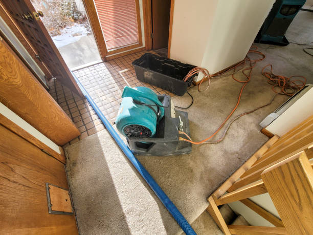 Best Water damage contractors near me  in Ninnekah, OK
