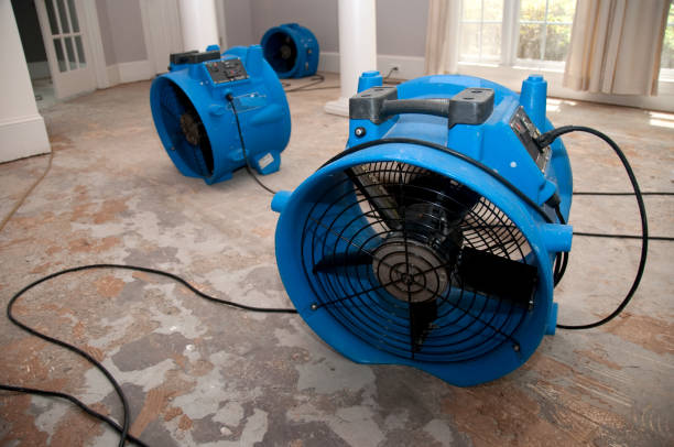 Best 24-hour water damage restoration  in Ninnekah, OK