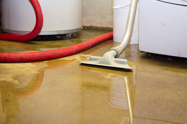 Best Water damage restoration near me  in Ninnekah, OK