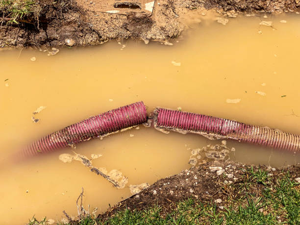 Best Professional water damage repair  in Ninnekah, OK