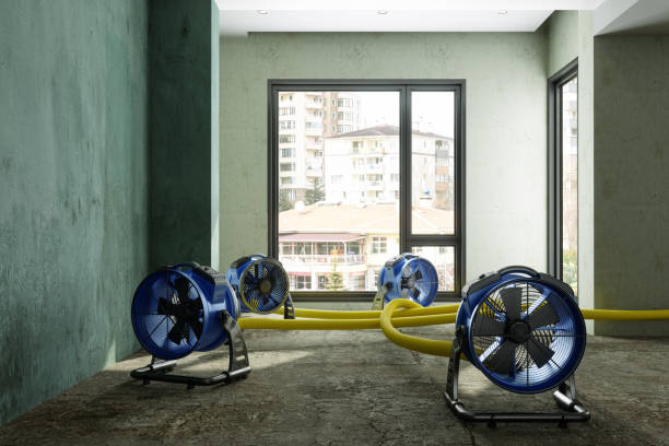 Best Residential water damage restoration  in Ninnekah, OK